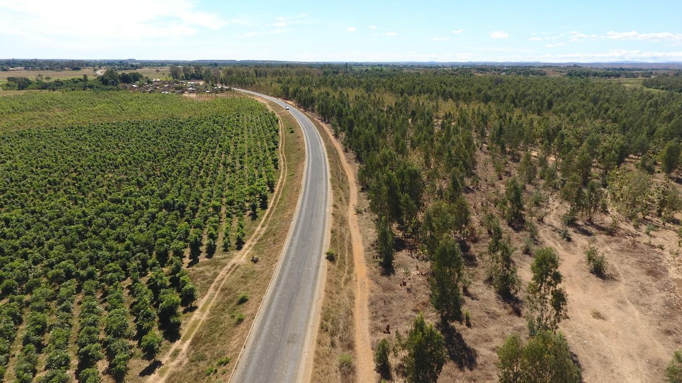 Gestion de forêts