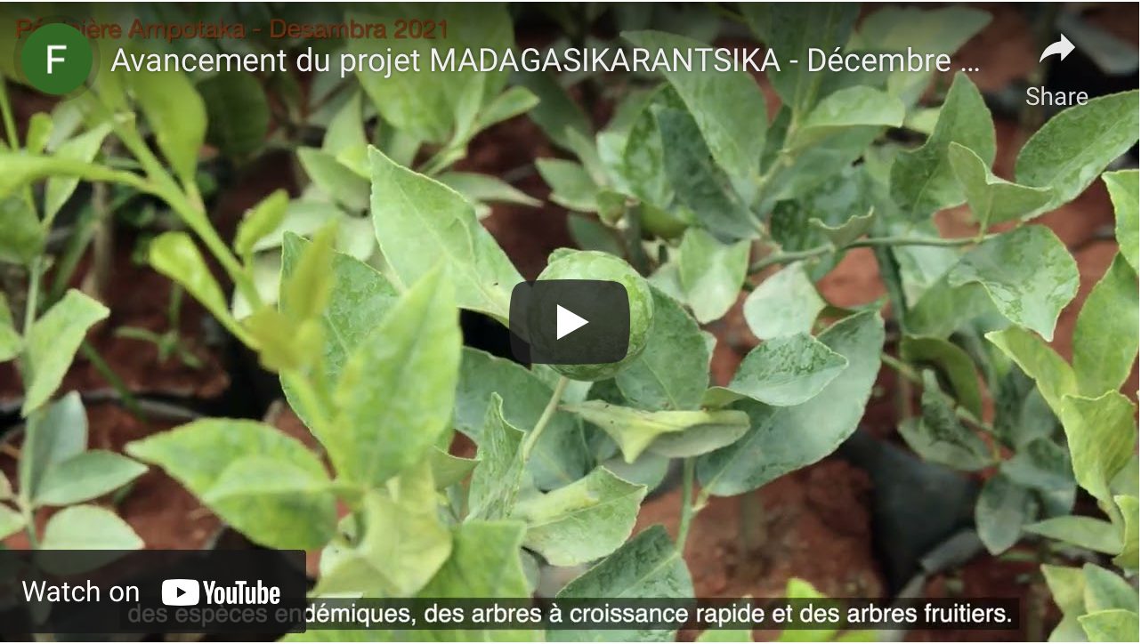 Vidéo sur l'avancement du projet MADAGASIKARANTSIKA à Ampotaka - Déc 21